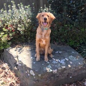 Meet your Posher, Seth